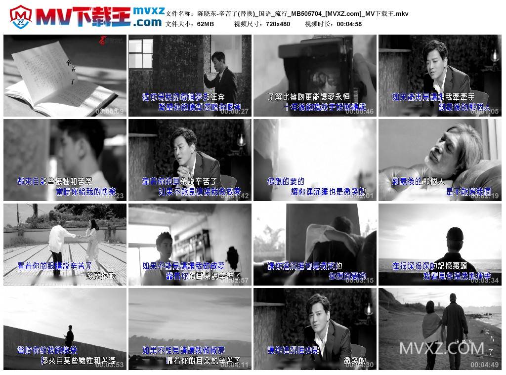 陈晓东-辛苦了(替换)_国语_流行_MB505704